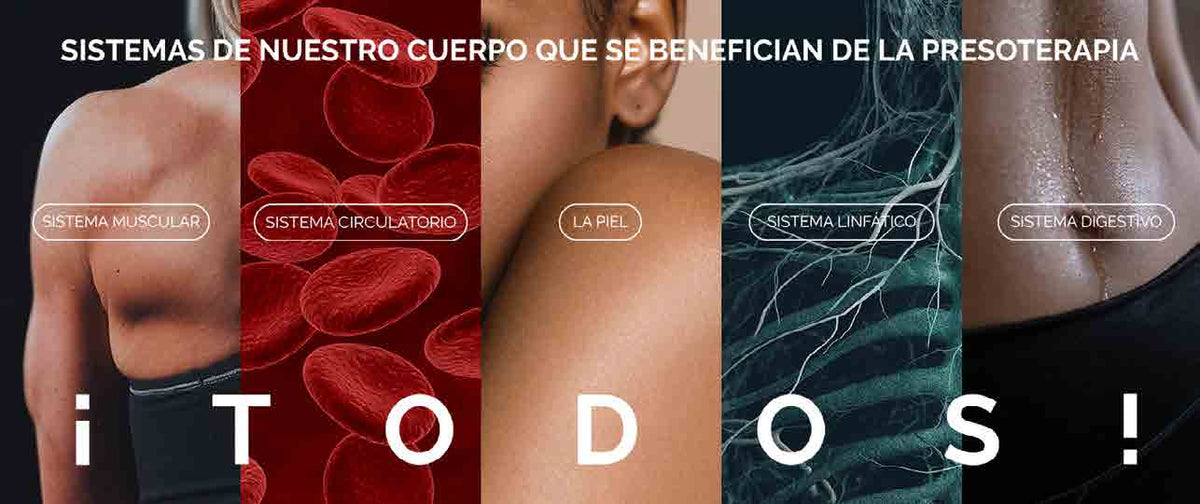 Pressotherapy Quattro Max | Equipo de presoterapia